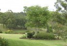 Barker Creek Flatresidential-landscaping-40.jpg; ?>